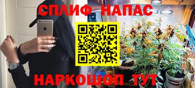 СК Краснознаменск